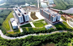 Hà Nội dự kiến giảm 35 trường công lập từ năm học 2026-2027