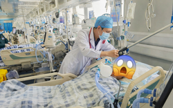 Người đàn ông ngộ độc suýt tử vong vì món rau nhiều người thích, có thể xuất hiện trên mâm cơm Việt 3 bữa một ngày