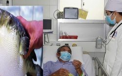 3 người ở Cần Thơ gặp nguy hiểm sau khi ăn canh chua cá nóc