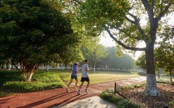 Tập thể dục là “liều thuốc” kéo dài tuổi thọ nhưng 4 kiểu người càng tập nhiều càng hại, tăng nguy cơ tử vong