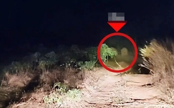 Sau tiếng rống xé toang màn đêm, con thú khổng lồ khoảng 3 tấn lao thẳng vào nhà dân: Cảnh tượng ám ảnh