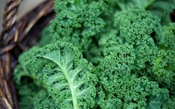 Mỹ công bố top 12 loại rau quả "ngậm" nhiều thuốc trừ sâu nhất 2026, bất ngờ với thứ ở vị trí đầu tiên