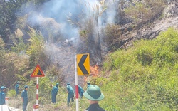 Cháy rừng trên đèo Bảo Lộc, hơn 100 người tham gia dập lửa
