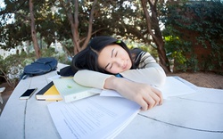 Tại sao có một số bộ phận sinh viên lên đại học lại sa sút?