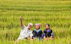 Không phải Bali hay Nhật Bản, Việt Nam "cứu rỗi" khách Tây theo cách chẳng ai ngờ tới