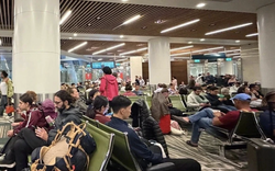 Giới siêu giàu tranh nhau thuê máy bay, chi hơn 9 tỷ đồng mỗi chuyến để rời Trung Đông