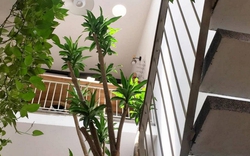 Ông bà dặn: Nhà có 4 dấu hiệu này đừng bao giờ bán, càng ở càng giàu, con cháu tha hồ hưởng lợi