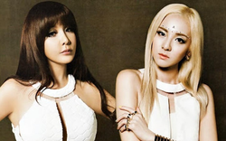 Dara (2NE1) lâm thế khó sau lời tố cáo chấn động của Park Bom