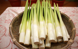 5 loại rau quen thuộc là ''ổ chứa ký sinh trùng'': Mắt thường không thấy, nhiều người vẫn vô tư ăn sống