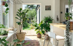 Ông bà nói: "Vận đến không ồn ào, nhưng sẽ có điềm báo" - 6 dấu hiệu cho biết nhà bạn có lộc trời ban