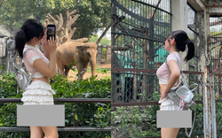 Phản cảm hình ảnh cô gái mặc váy ngắn đến lộ cả vòng 3 để đi Thảo Cầm Viên