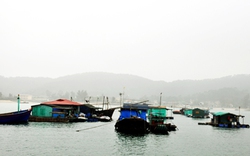 Dông lốc đánh lật tàu cá tại Đặc khu Cô Tô, 2 mẹ con tử vong