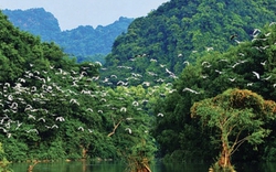 Từ 1/4, không chỉ Hang Múa mà 1 địa điểm nổi tiếng ở Ninh Bình đồng loạt tăng giá