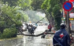 Mưa dông làm 4 người chết, 9 người bị thương