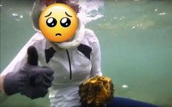 Khoảnh khắc lặn biển khiến 1 mỹ nhân suýt tù tội, "đi tong" sạch sự nghiệp!