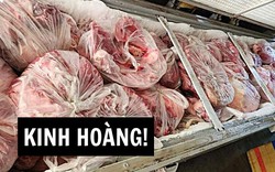 Đọc vụ 300 tấn LỢN BỆNH mà hãi: Khi nhà trường không quản nổi miếng thịt trẻ ăn thì mọi bài giảng đạo đức đều là sáo rỗng!