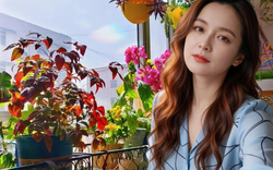 Ban công 3m² của người phụ nữ 45 tuổi gây sốt: Trồng vài chậu cây đơn giản mà biến nhà thành nơi muốn về sớm mỗi ngày