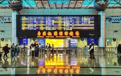 Đài Loan (Trung Quốc) xác nhận ca nhiễm biến thể Covid-19 “Ve sầu” mới đầu tiên