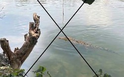 Thông tin lan truyền “cá sấu" xuất hiện trên sông Chắc Băng”: Tạo ảnh bằng AI để mẹ dọa em gái!