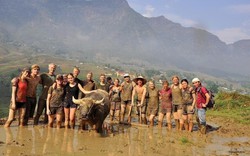 Không phải Bali hay Chiang Mai, báo Tây gọi tên một nơi ở Việt Nam là điểm chữa lành đáng ghé nhất 2026