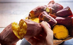 Đột quỵ trẻ hóa vì ăn uống sai lầm: Đừng chỉ ăn khoai lang, hãy bổ sung ngay 6 thực phẩm này