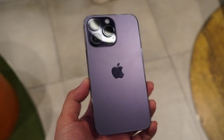 Lương 10 triệu, mua iPhone cũ nào "hợp ví"?