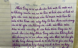 Bức thư tỏ tình của 1 nữ sinh tiểu học ở TP.HCM gây bão MXH: không tin được đây là học sinh lớp 2!