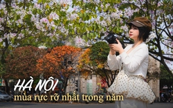 Ăn chơi cho hết tháng Giêng, mùa săn hoa đã đến khiến cả Hà Nội đứng ngồi không yên