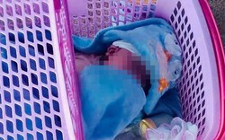 Bé trai được đặt trước cửa nhà dân kèm bức thư nhiều nghi vấn