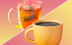 Chọn cà phê hay trà xanh vào buổi sáng?