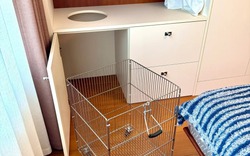 Hàng xóm ghé chơi, nhìn cảnh này trong nhà tôi lập tức bái 2 tiếng: "Sư phụ"!