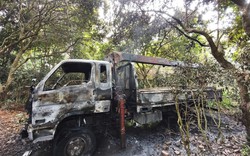 Hà Nội: Xe tải cẩu cây vướng dây điện, tài xế tử vong