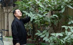 Nam NSND mang hàm Đại tá, cưới vợ đẹp kém 13 tuổi: U60 sống bình yên trong biệt thự bề thế ở Hà Nội