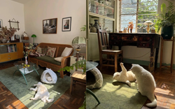 Cụ bà 73 tuổi không phiền con cháu, già đi lặng lẽ trong căn nhà cũ ở quê: Cuộc sống dịu dàng, chữa lành đến lạ