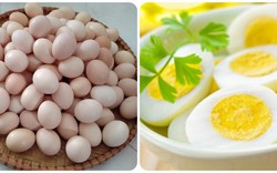 Số lượng trứng nên ăn mỗi tuần ở từng nhóm tuổi