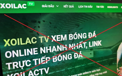 Nóng: Khởi tố 30 bị can trong hệ thống 'Xôi Lạc TV'