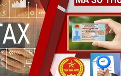 Nóng: Thuế TP Hà Nội có thông báo quan trọng về mã số thuế cá nhân