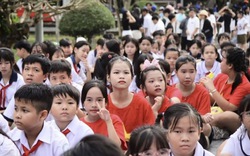 Cả phường có 5 trường tiểu học nhưng chỉ 1 trường THCS: Sở GD-ĐT TPHCM lên tiếng