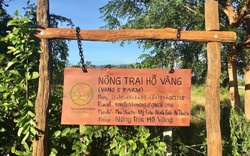 Xác minh hoạt động tôn giáo tại "nông trại Hồ Vàng" sau vụ ông Thích Nhuận Đạt