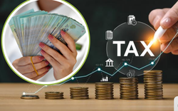 Cục Thuế thông báo nóng về chính sách thuế mới với hộ kinh doanh, cá nhân kinh doanh