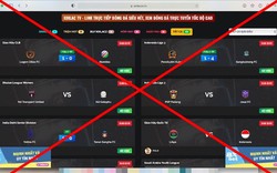 Một cú click vào website lậu, nguy cơ mất sạch dữ liệu cá nhân