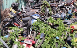 Tìm chủ 13 xe máy "bị bỏ rơi" ở TP HCM
