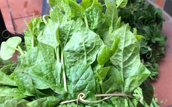5 loại rau "bổ hơn thịt, rẻ hơn thuốc", bán đầy rẫy ở chợ Việt