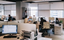 Tưởng AI sẽ thay lao động phổ thông trước, nhưng dữ liệu mới lại chỉ sang một nhóm nghề khác