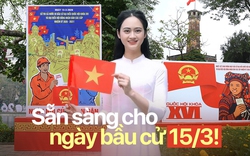 Chủ nhật tuần này, chúng ta sẽ cùng đi bầu cử!