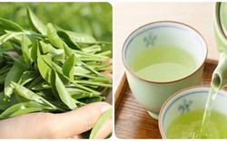 Thời điểm uống nước trà xanh tốt nhất cho sức khỏe