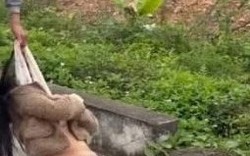 Vụ kéo lê cô gái trên đường: Người đàn ông đối diện với nhiều tội danh