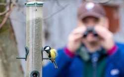 Lợi ích bất ngờ của việc ngắm chim