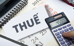 Cơ quan thuế hướng dẫn chi tiết chính sách thuế mới với hộ kinh doanh, cá nhân kinh doanh