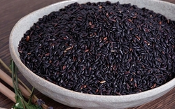 Gạo lứt đen tưởng là “siêu thực phẩm” nhưng không phải ai cũng ăn được: 3 nhóm người nên hạn chế